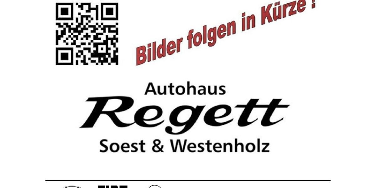 Fiat 500 43.533 km 16.990 &euro; Soest 59494