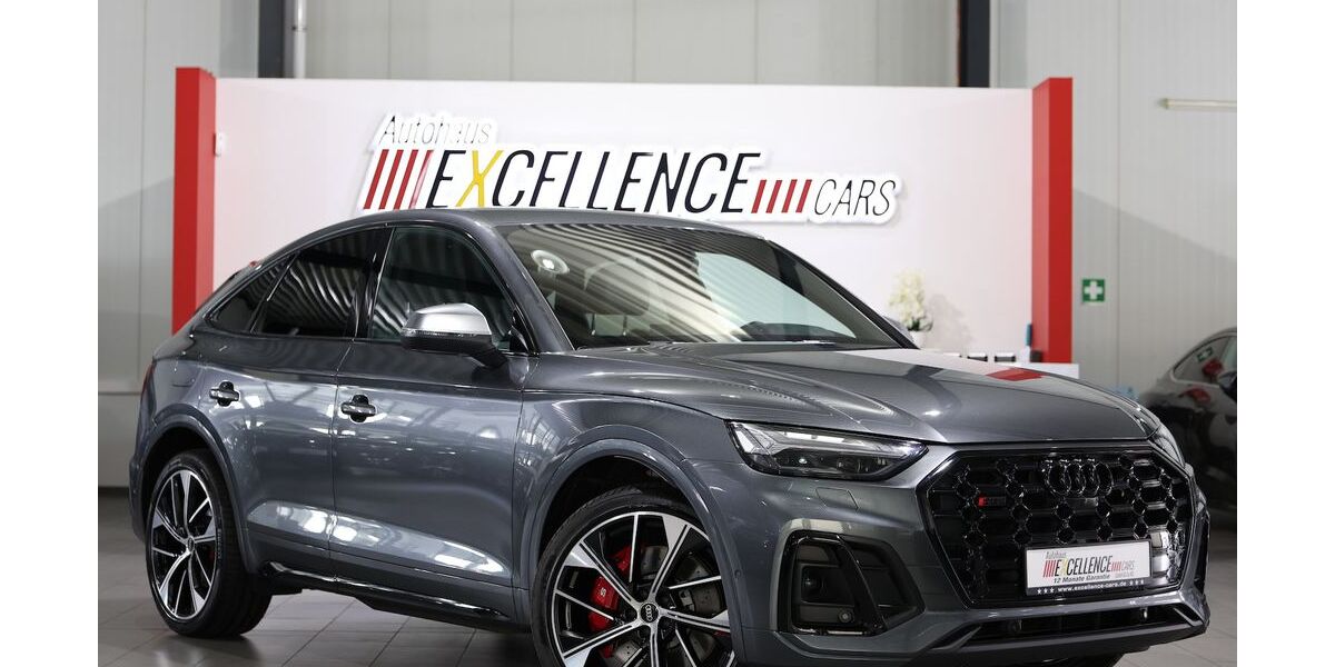 Audi SQ5 96.000 km 45.555 &euro; Hamm 59077