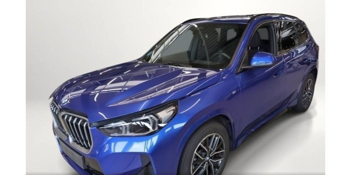 BMW X1 44.900 km 38.934 &euro; Hamm 59067